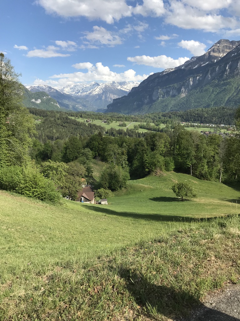 A short walk from the house