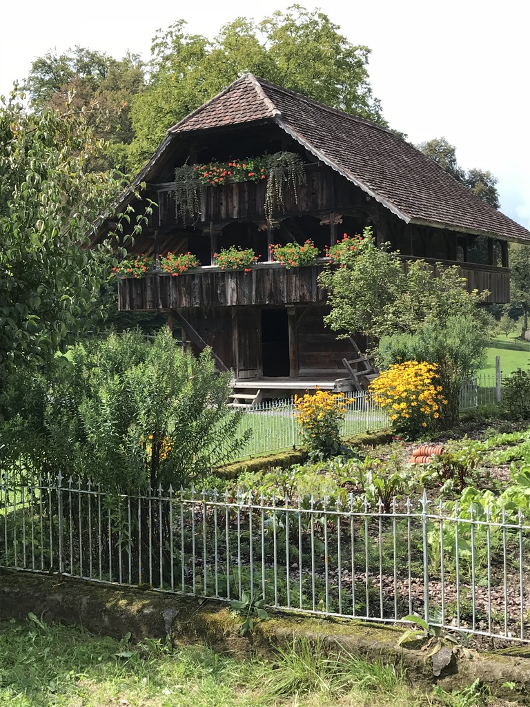 Ballenberg museum 5 minutes by car