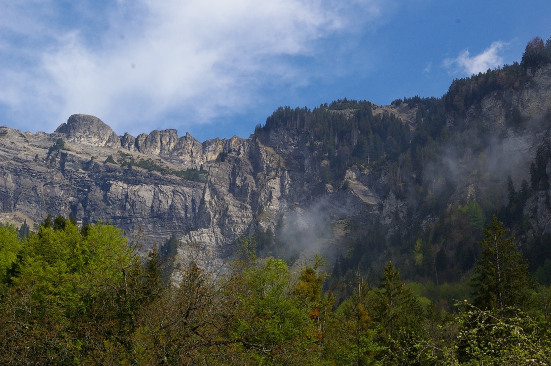 '... just behind the house