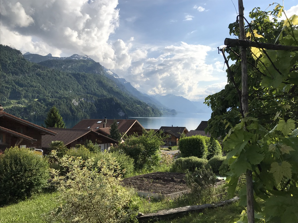 View from front garden