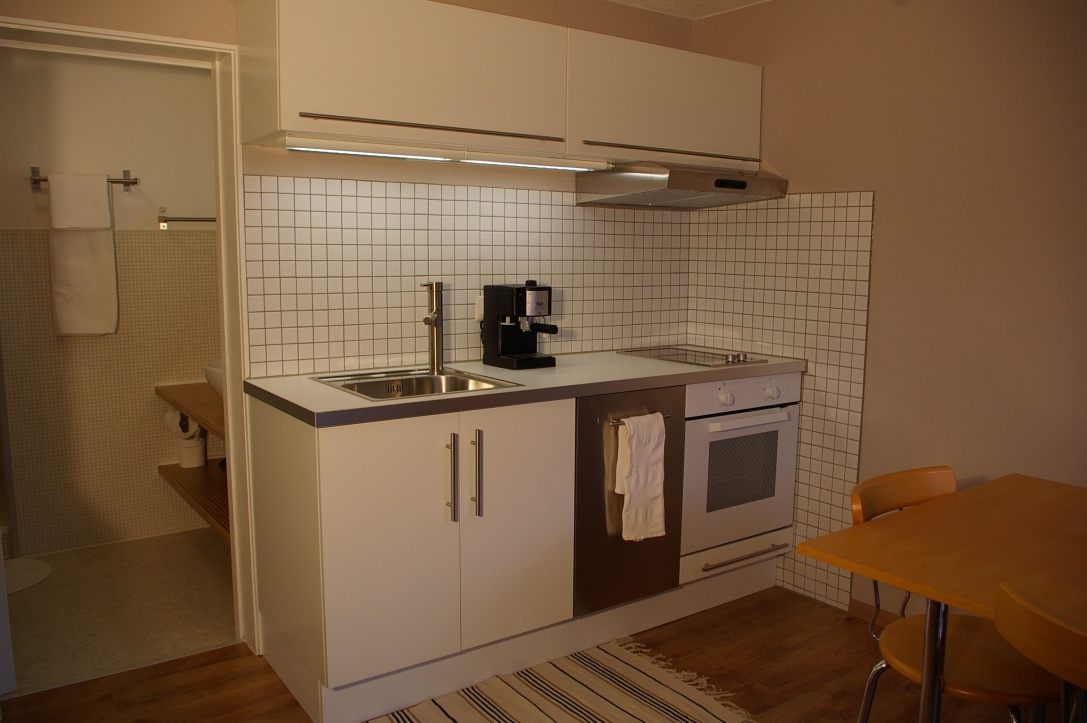 View of the kitchen and dining